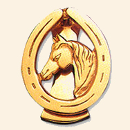 Brass Door Knocker Horse Shoe Brass Door Knockes